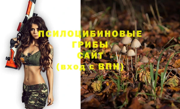 ешки Майский
