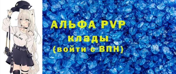 шишки Медвежьегорск
