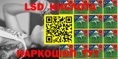 спайс Берёзовский