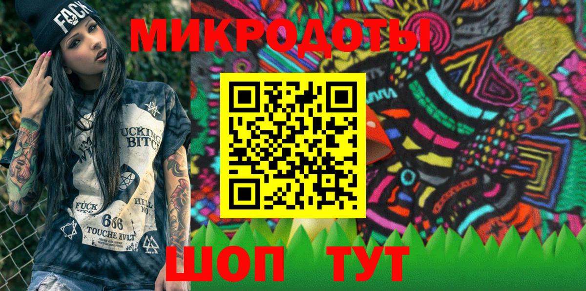 Галлюциногенные грибы Psilocybe Москва