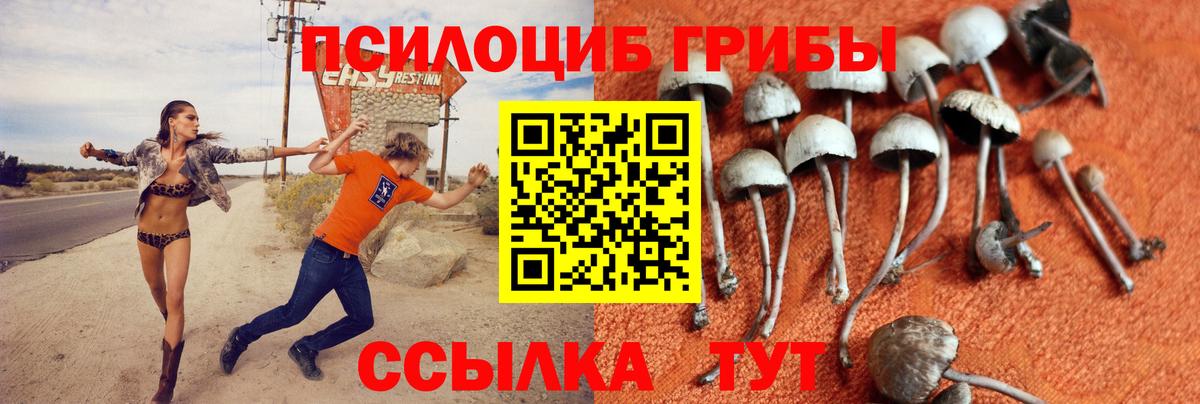 Галлюциногенные грибы Magic Shrooms  Галлюциногенные грибы мицелий  хочу   Москва  Вход с VPN 