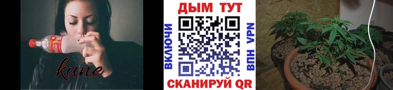 купить наркоту  ссылка на мегу зеркало  МАРИХУАНА конопля  Москва 